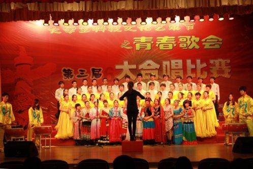 救援达尔马提亚狗