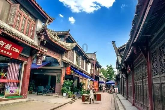 动物帮帮忙保卫家园
